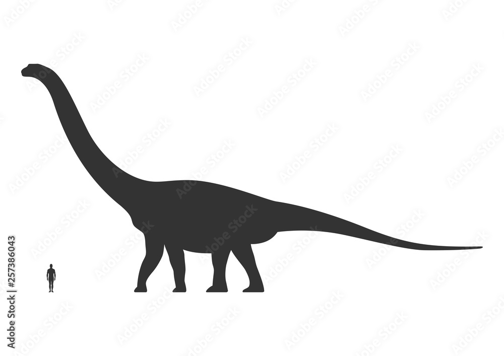 Comparison of human and dinosaur sizes isolated on white background. Argentinosaurus or Brachiosaurus silhouette black. Vector illustration Comparison of human and dinosaur sizes isolated on white background. Argentinosaurus or Brachiosaurus silhouette black. Vector illustration