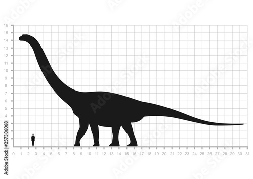 Comparison of human and dinosaur sizes measuring scale isolated on white background. Argentinosaurus or Brachiosaurus silhouette black. Vector illustration