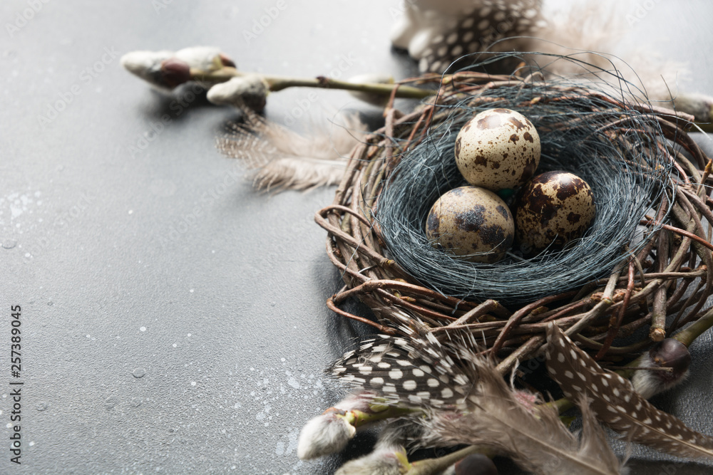 Quail easter eggs in nest and spring willow on vintage table. Quail easter eggs in nest and spring willow on vintage table.