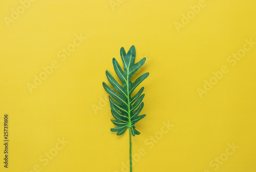 Table top view aerial image of summer season holiday background concept.Flat lay green leaf on modern rustic yellow paper backdrop.Free space for creative design mock up & template text for content.