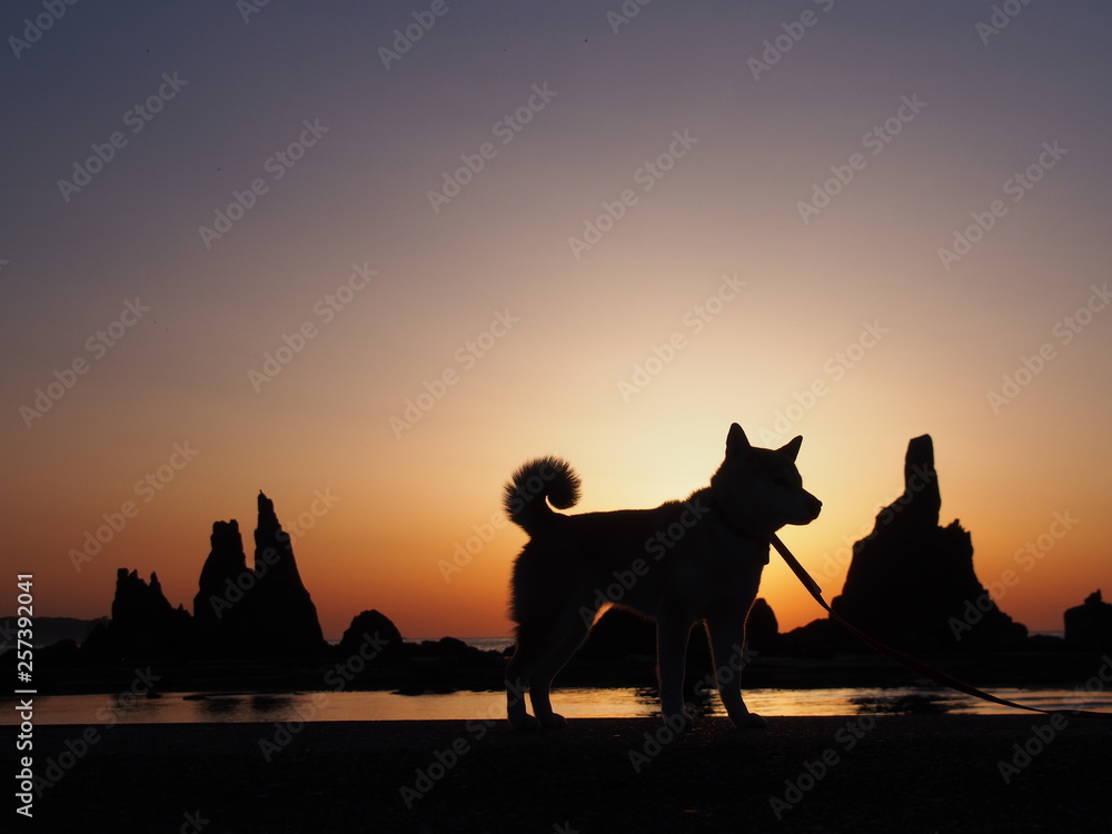 橋杭岩と柴犬のシルエット Stock Photo Adobe Stock