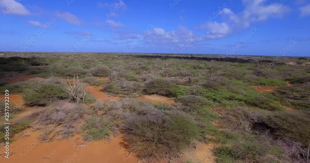 The Lac Bay mangroves during sunset on Bonaire. The Lac Bay mangroves during sunset on Bonaire.