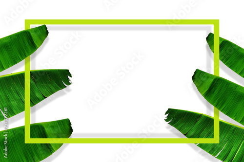 Photo creative tropical green leaf summer frame