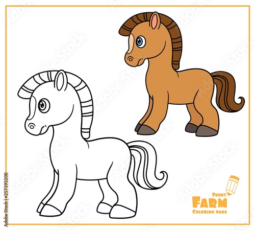 Cute cartoon horse color and outlined on a white background  for coloring page