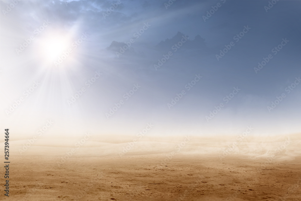 Views of desert with sunlight - obrazy, fototapety, plakaty 