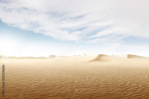 Views of sand dune with trees