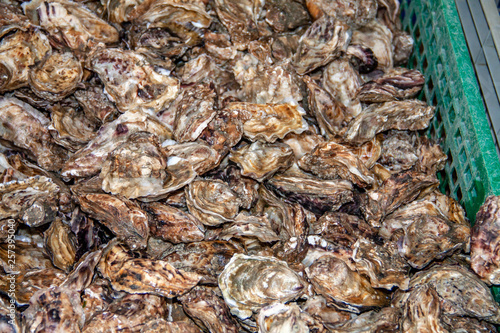 Huîtres creuses de Cancale à la vente sur le marché