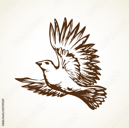Vector drawing. Small titmouse