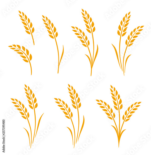 hand drawn set of golden wheat ears