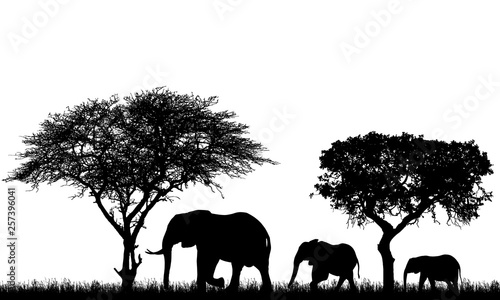 Realistic illustration of landscape with trees in african safari. A family of three elephants with a baby go in the grass, vector