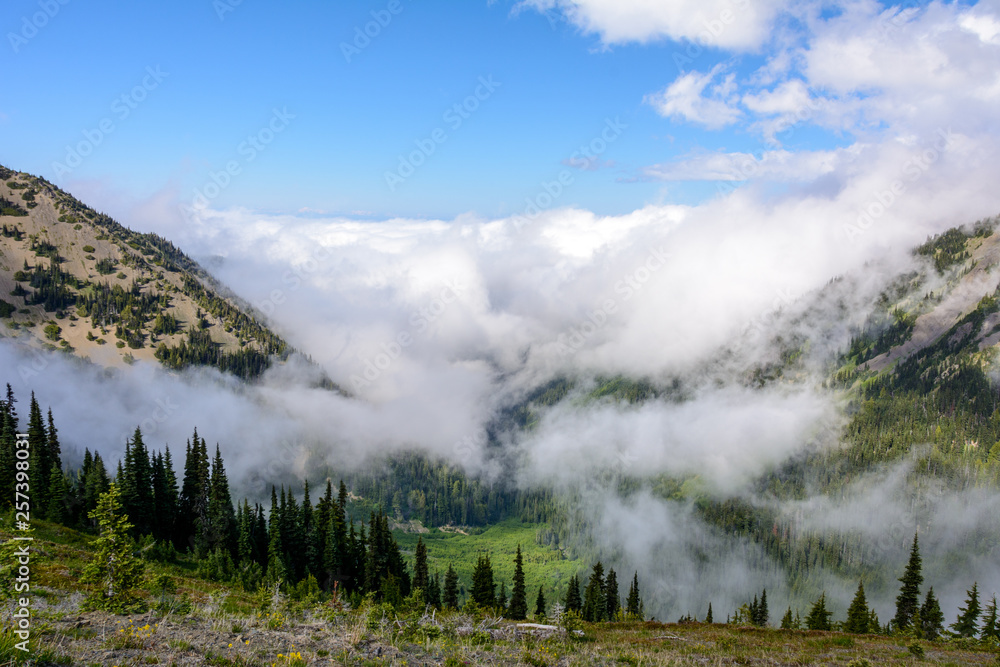 Cloudy landscape in the mountains of Olympic National Park, Washington, USA Cloudy landscape in the mountains of Olympic National Park, Washington, USA