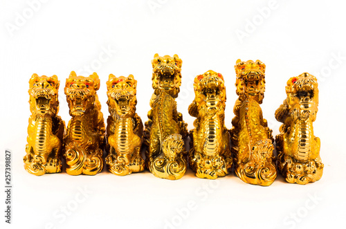 Fotografia golden dragons on white background