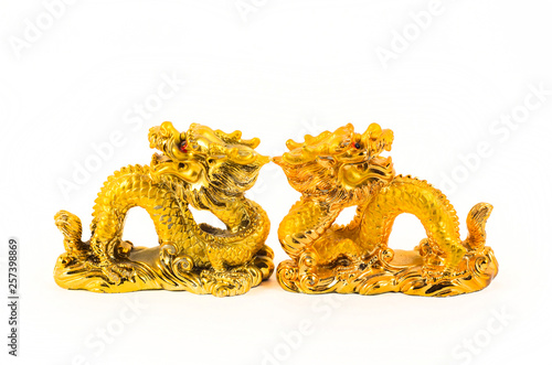 golden dragons on white background