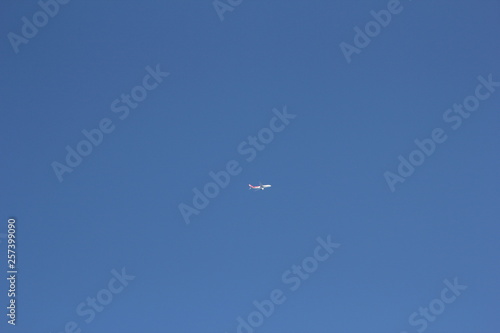 sky, blue, flying, clouds, bird, airplane, fly, plane, cloud, flight, aircraft