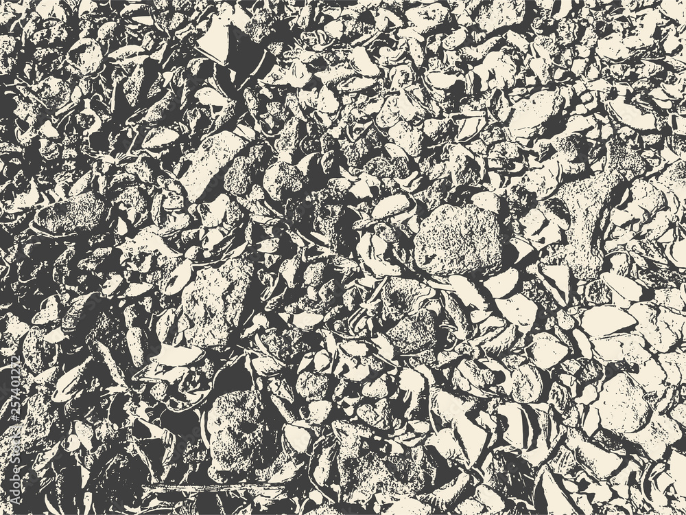 Coquina. Abstract Background. Grunge Texture. Vector illustration. Coquina. Abstract Background. Grunge Texture. Vector illustration.