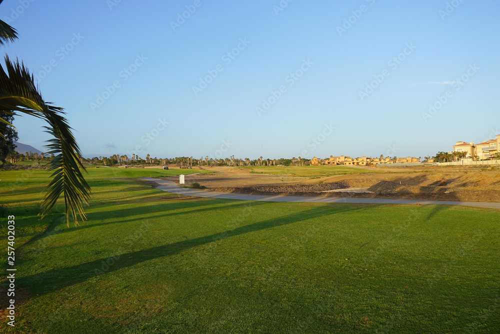 Golf course in soft sunset light, green grass, blue sky Golf course in soft sunset light, green grass, blue sky
