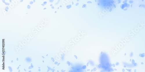 Dark blue flower petals falling down. Alluring rom