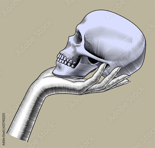 Female hand holding a human skull half-face