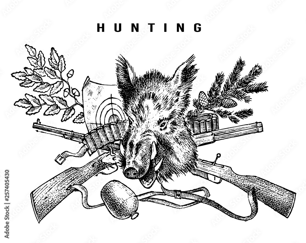 Fototapeta Hunting club banner. Boar and rifle background. Hunter Characters. Hand drawn engraved vintage sketch for emblem, badge and labels.