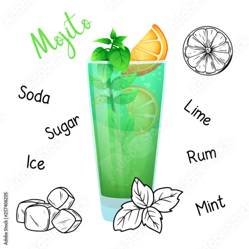 Simple recipe for an alcoholic cocktail Mojito. Vector