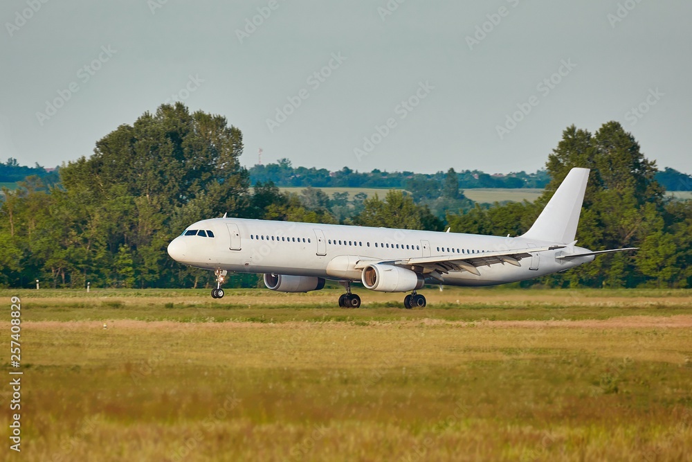 Plane landing on runway Plane landing on runway