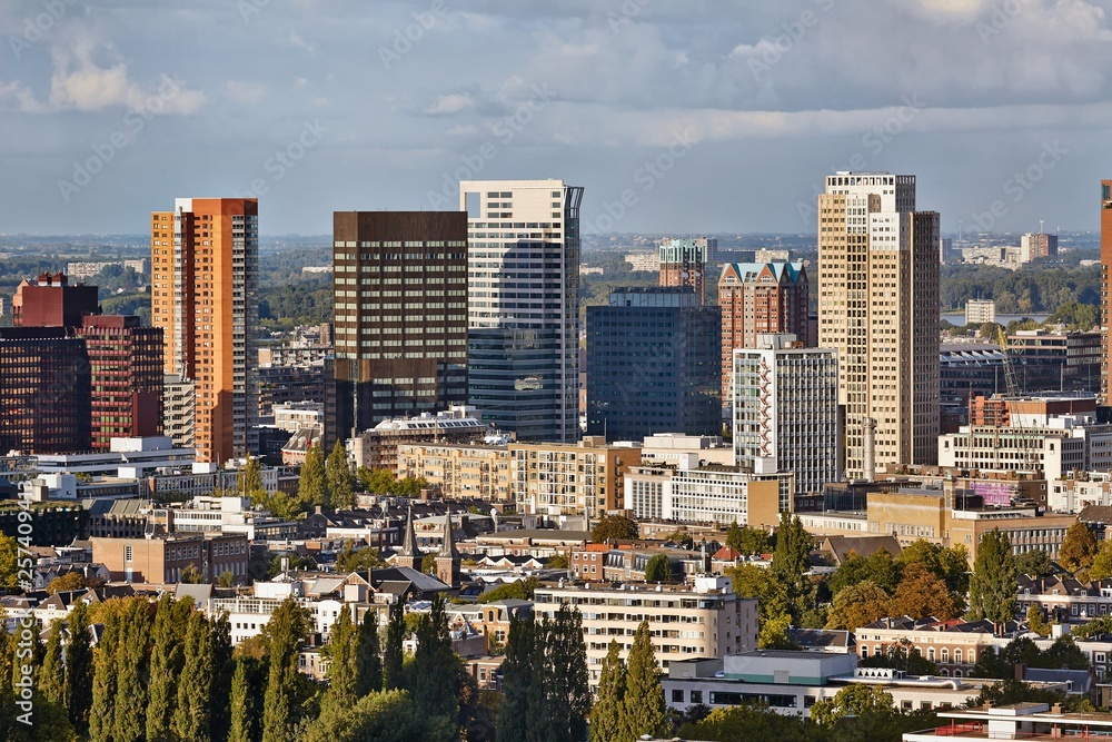 Obraz premium Rotterdam panoramic view