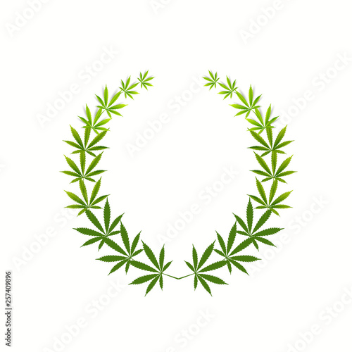  Cannabis A green branch  (Cannabis indica, Marijuana) medicinal plant with leaves. Watercolor hand drawn painting illustration isolated  