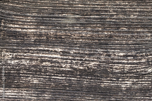 Grunge wooden plank closeup macro pattern texture.