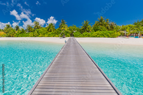 Wooden pier and exotic bungalow on the background of a sandy beach with tall palm trees  Maldives