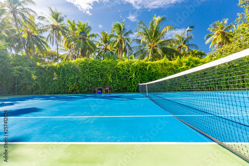 Amazing sport and recreational background as tennis court on tropical landscape, palm trees and blue sky. Sports in tropic concept © icemanphotos