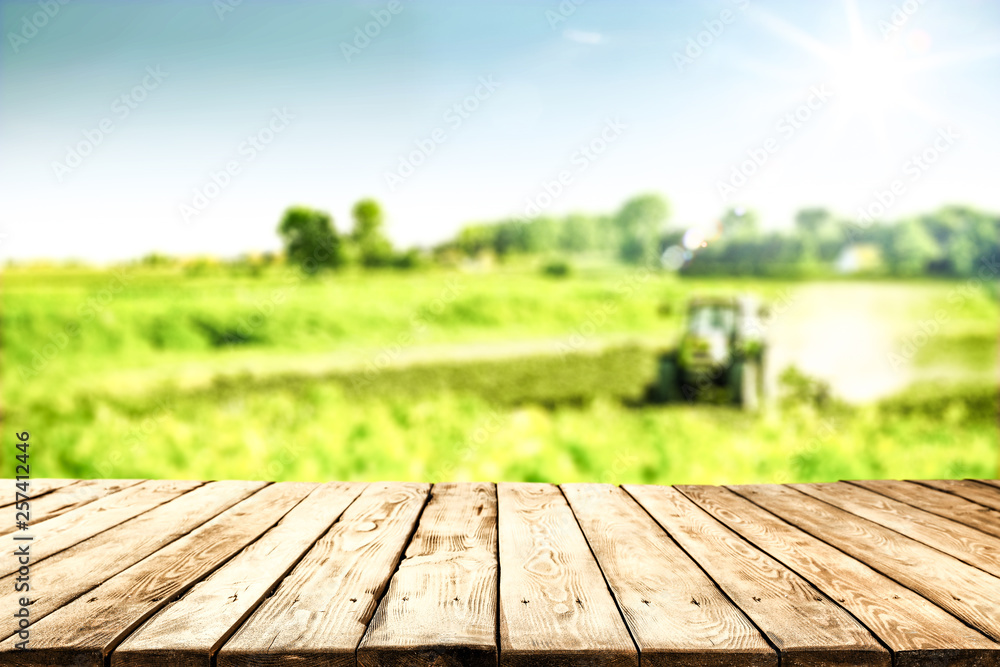 Desk of free space for your decoration and spring blurred background Desk of free space for your decoration and spring blurred background