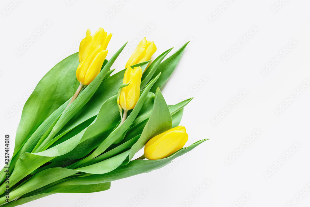 Floral background with tulip flowers on white Floral background with tulip flowers on white