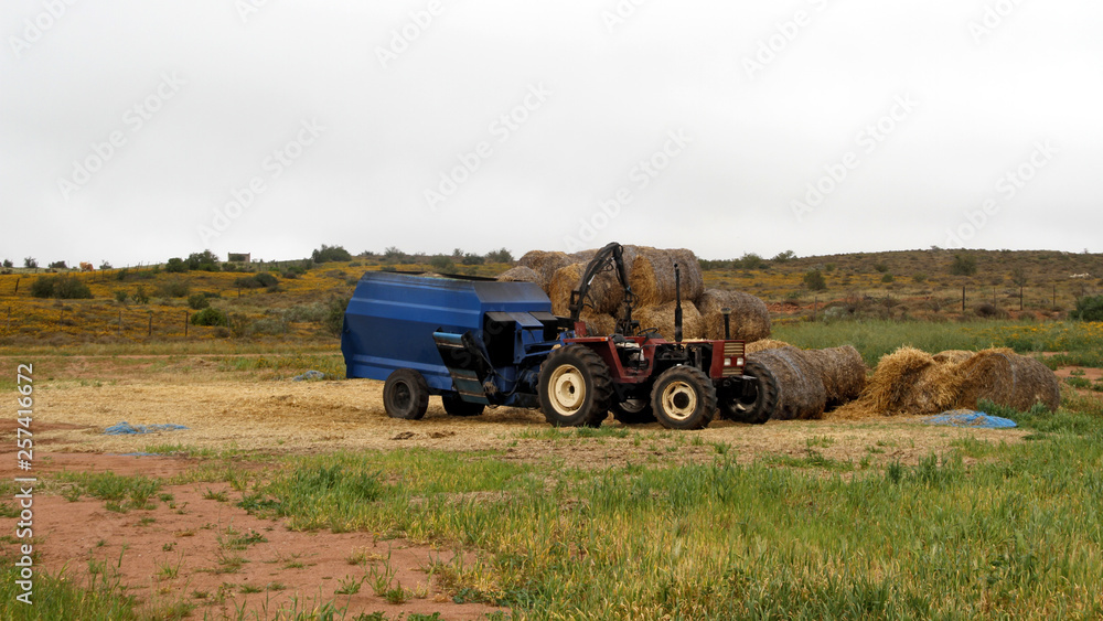 Obraz premium Hay stacking on a farm for the winter time.