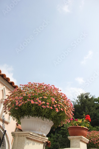 house in garden