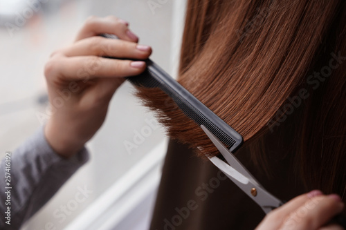 Hairdresser working with client in beauty salon, closeup