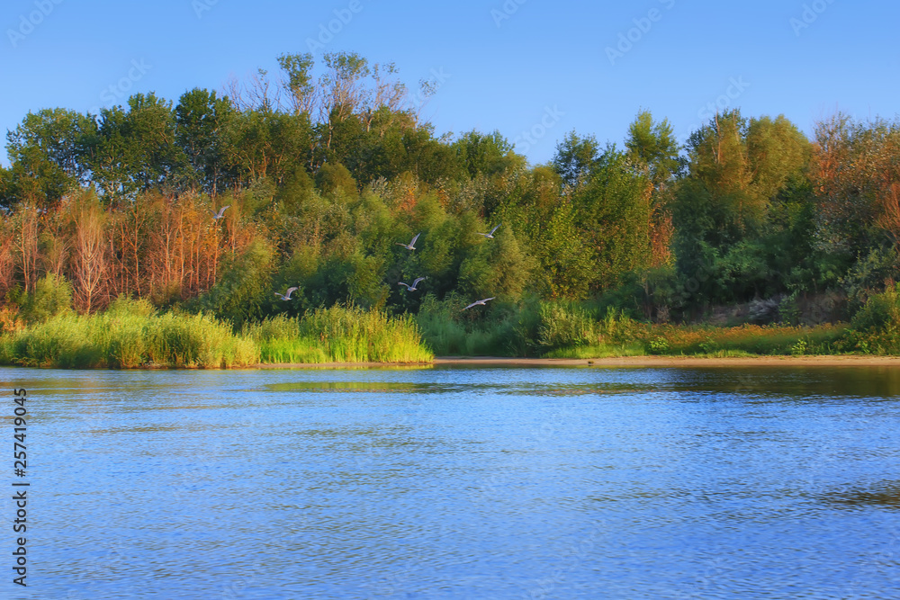river in the autumn forest. Russia river in the autumn forest. Russia