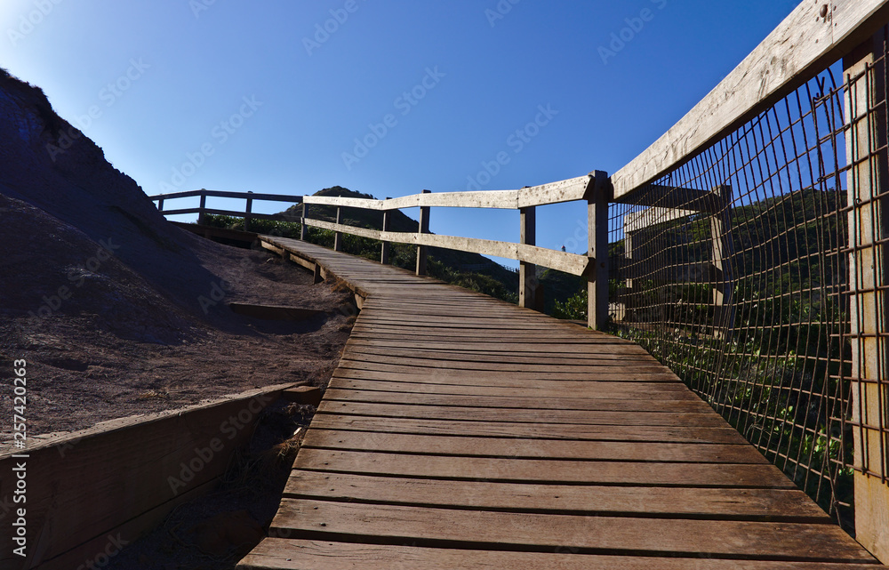 Wooden walking path with wooden fence