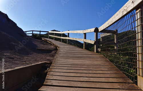 Wooden walking path with wooden fence © galexia