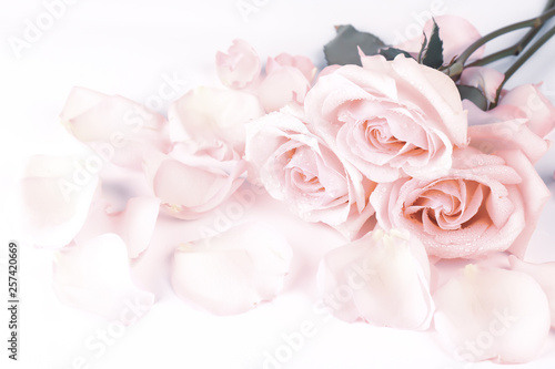 gently pink roses retro style. wedding shabby chic background