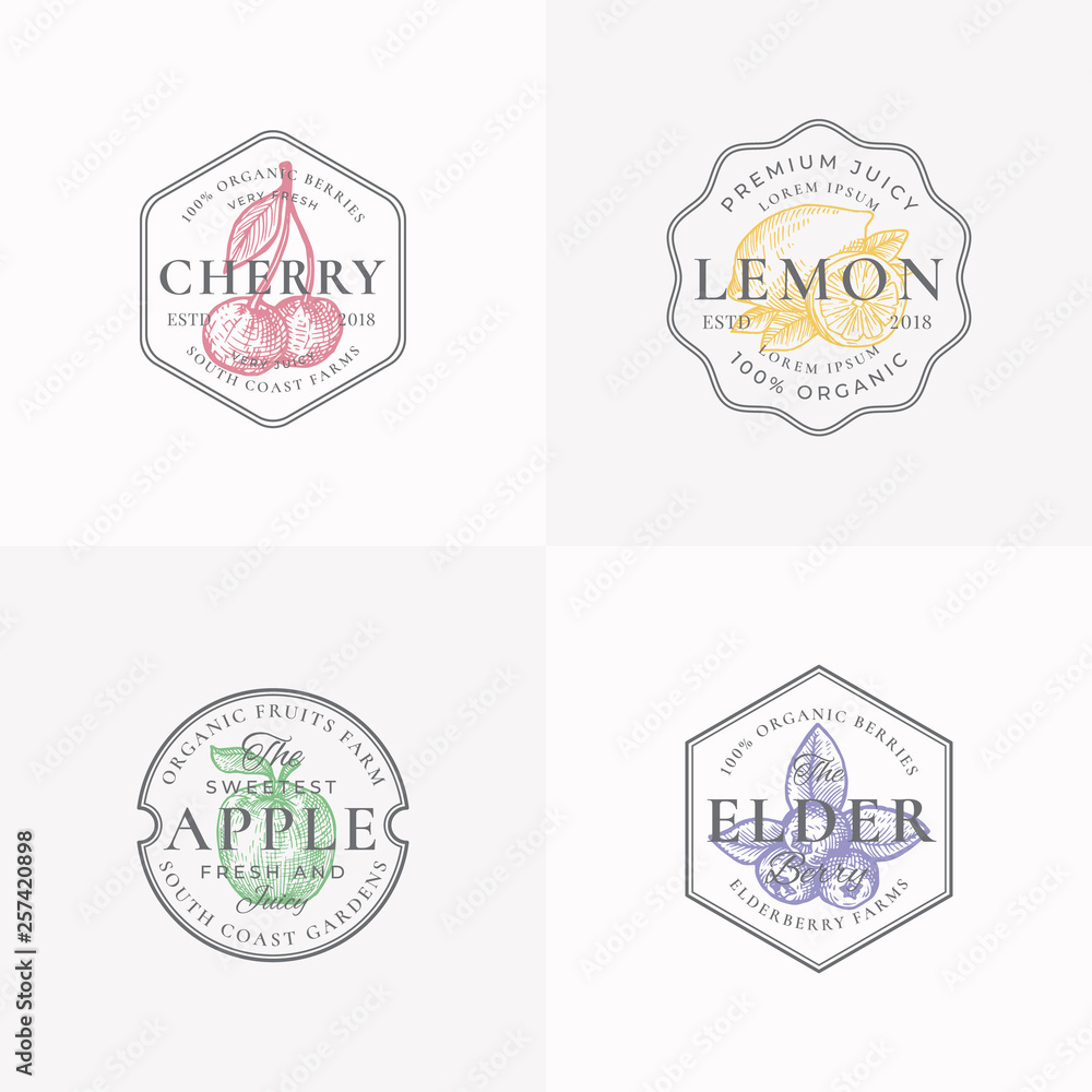 Fruit and Berries Badges or Logo Templates. Set Hand Drawn Lemon, Cherry, Apple and Elderberry Sketch with Leaf Retro Typography and Borders. Vintage Premium Emblems.