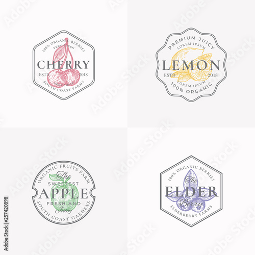 Fruit and Berries Badges or Logo Templates. Set Hand Drawn Lemon, Cherry, Apple and Elderberry Sketch with Leaf Retro Typography and Borders. Vintage Premium Emblems.