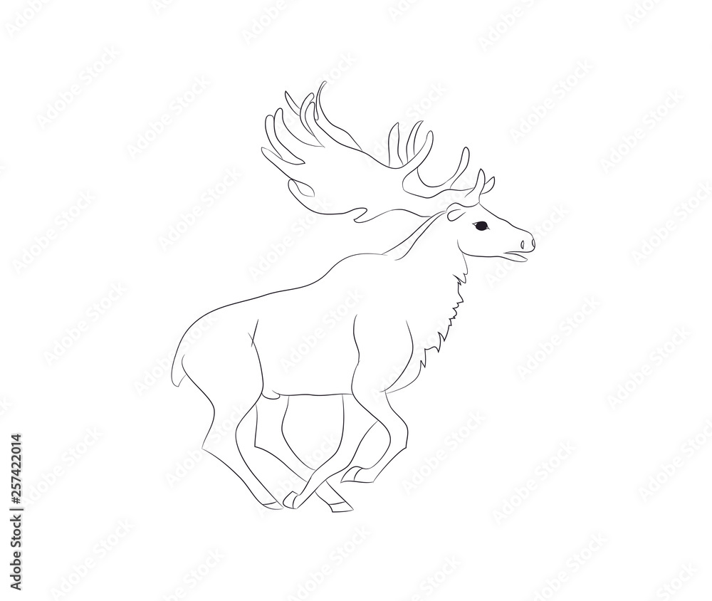 deer running, vector lines