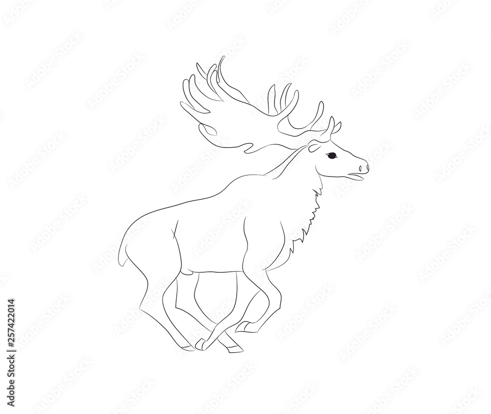 Fototapeta premium deer running, vector lines