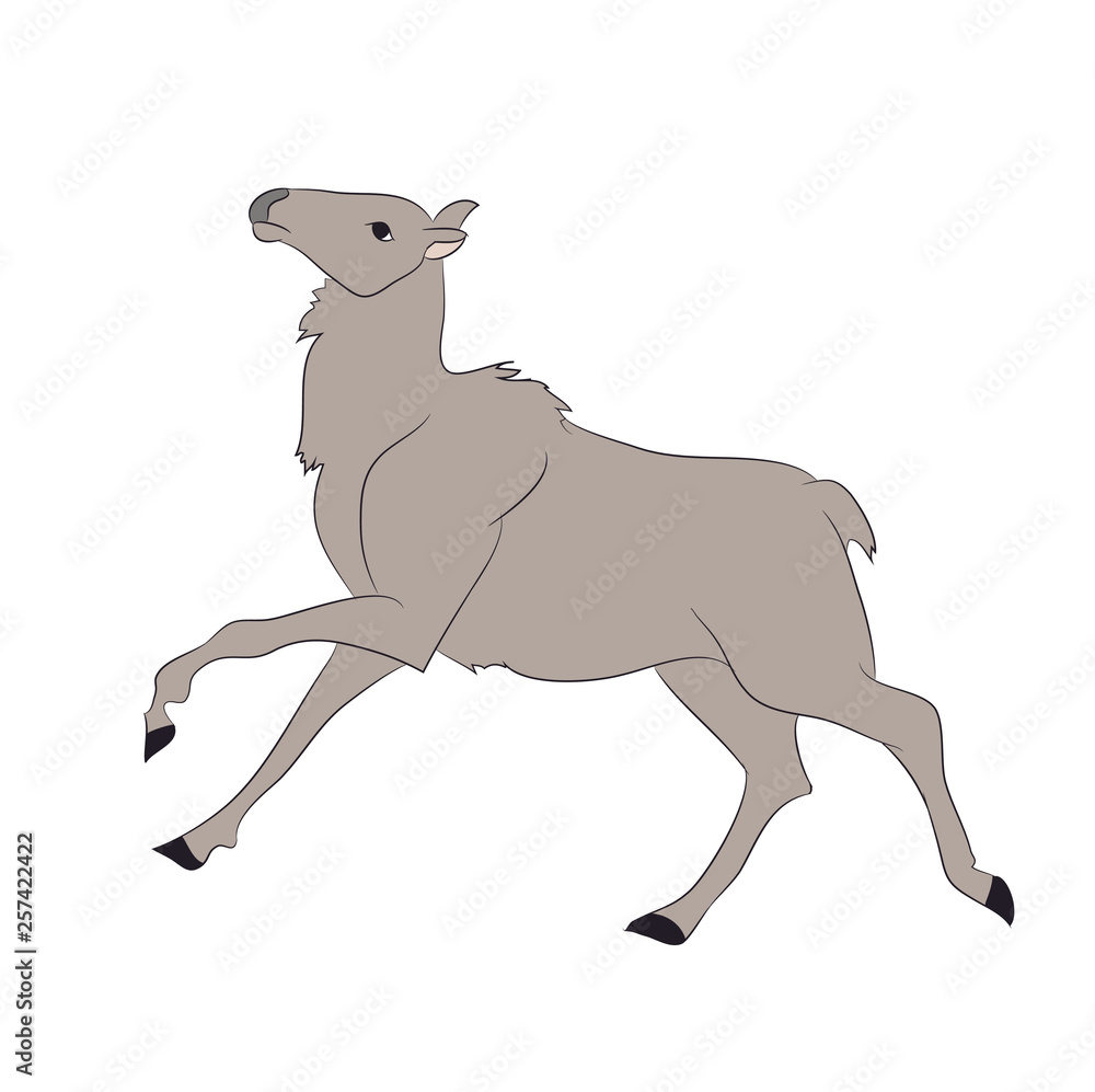 Fototapeta premium deer lies, vector