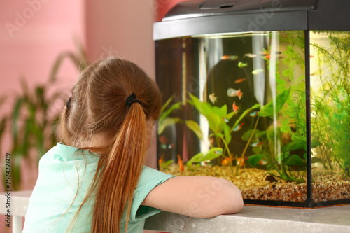 Cute little girl looking at...