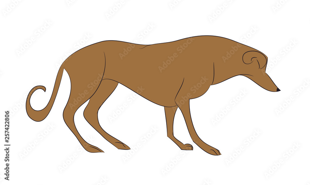 Fototapeta premium vector illustration dog is standing