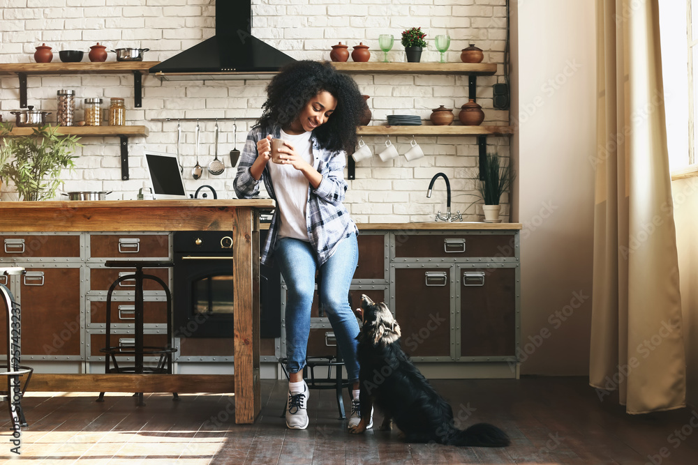 African-American woman with cute funny dog in kitchen - obrazy, fototapety, plakaty 