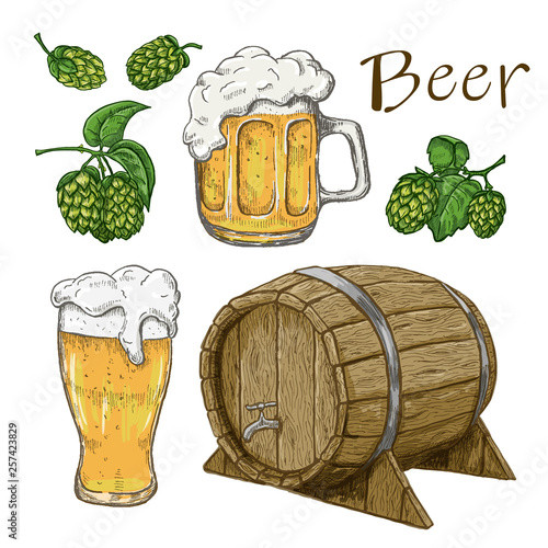 Sketches of hop plant, wood barrel and beer mugs