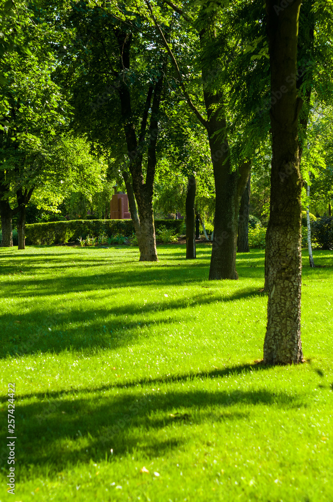 early summer landscape, old Park, trees, bushes, green grass, bright green leaves early summer landscape, old Park, trees, bushes, green grass, bright green leaves