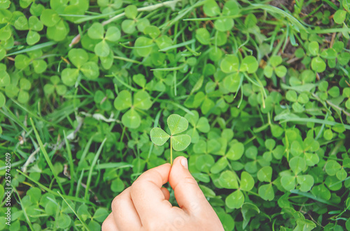 Clover leaf. Happy St. Patrick's Day. Selective focus. photo